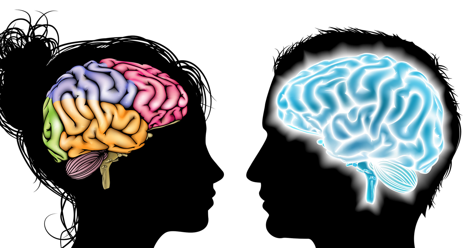 Chart Differences Between Male And Female Brains Hot Sex Picture 